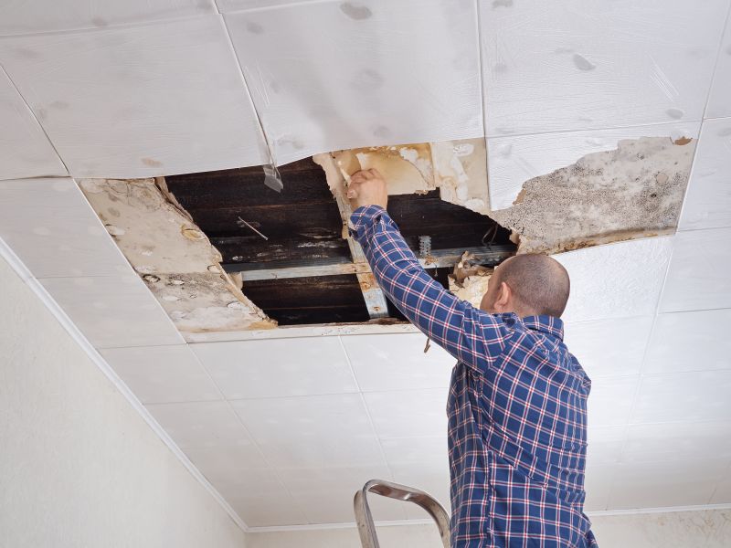 Bedroom Ceiling Repair in Alpharetta, GA