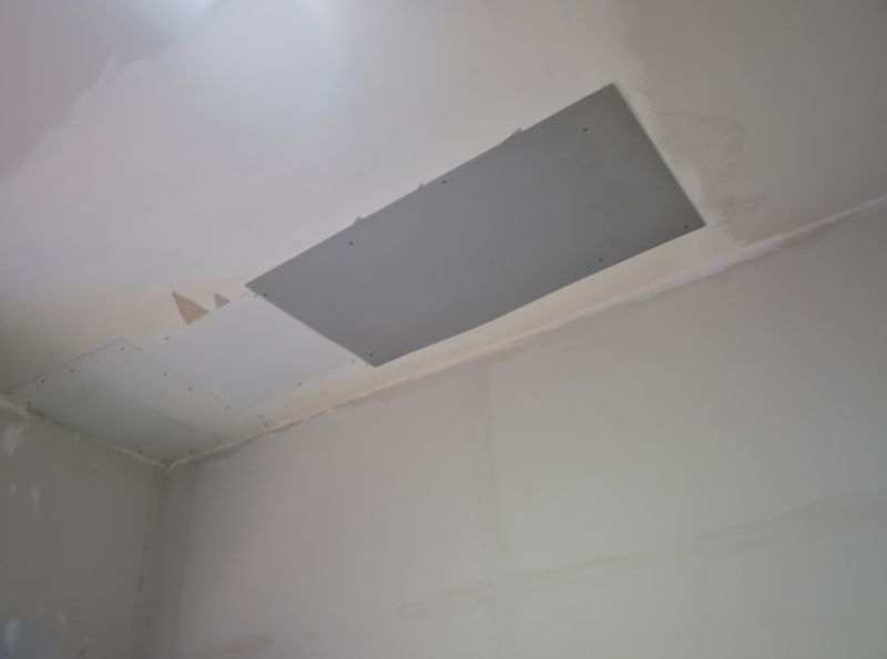 Ceiling Repair Service in Olathe, KS
